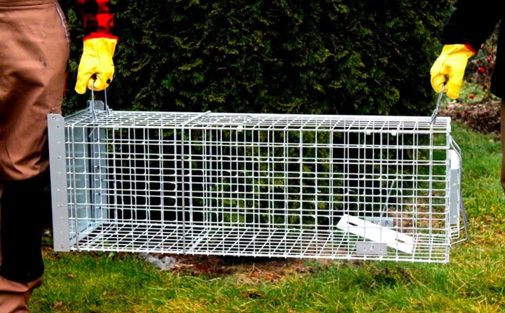 Snímka obrazovky 2026-02-19 o 20.26.15